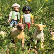 Foutue Bergerie - Théâtre du Rond-Point , Paris