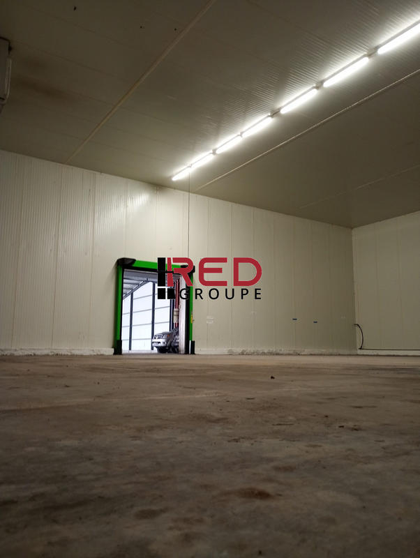 Entrepôt - 1 515 m²