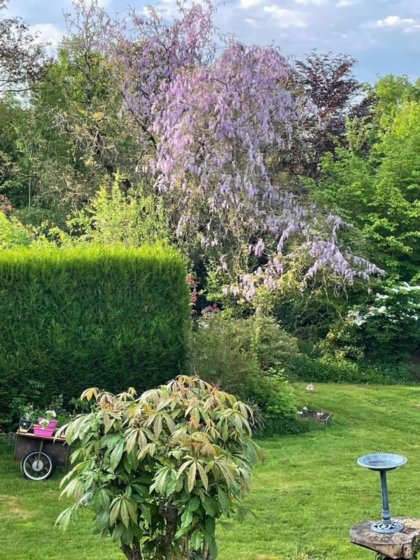 Maison - 187 m² - 8 pièces