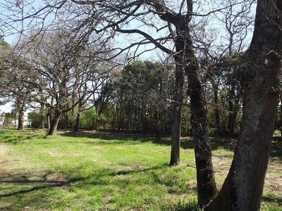 Maison traditionnelle - 102 m² - 5 pièces