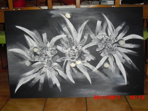 Messeant Marie Christine