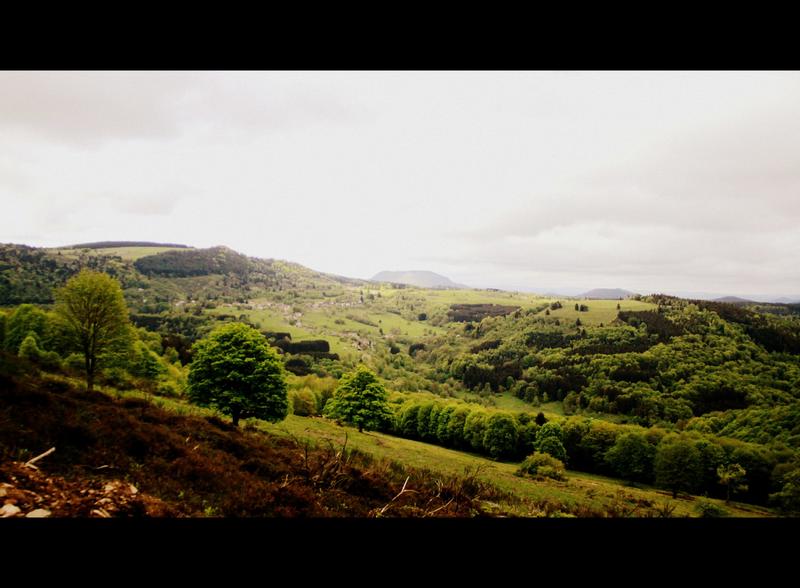 Marche printanière du 1er mai