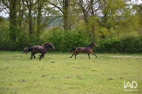 Local commercial - 26 101 m²