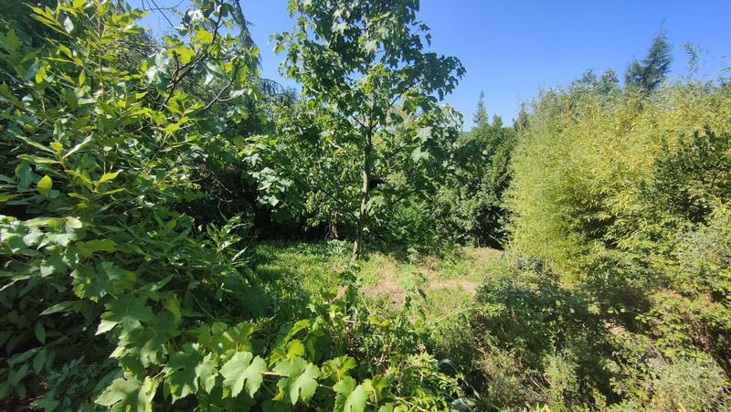 Maison - 122 m² - 5 pièces