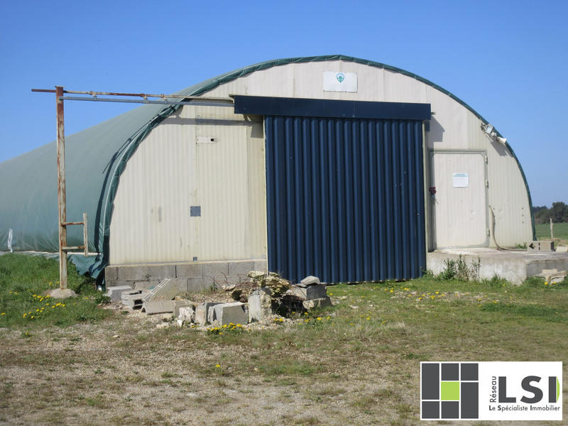 Terrain agricole - 4 000 m²