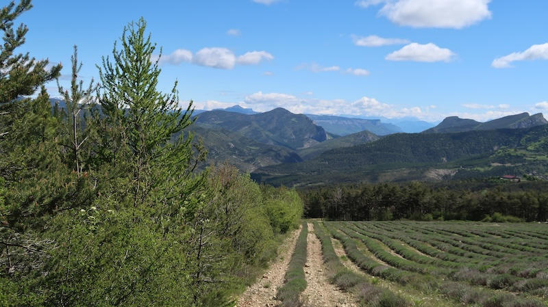 Terrain - 355 899 m²