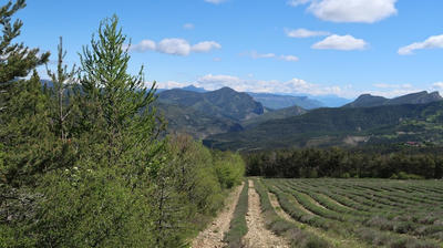 Terrain - 355 899 m²