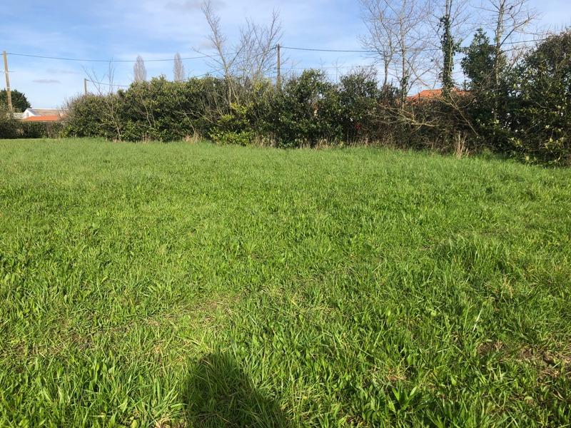 Terrain constructible - 10 045 m²