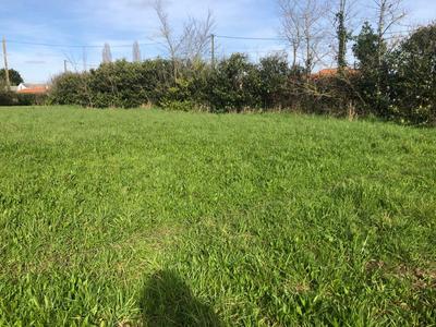 Terrain constructible - 10 045 m²