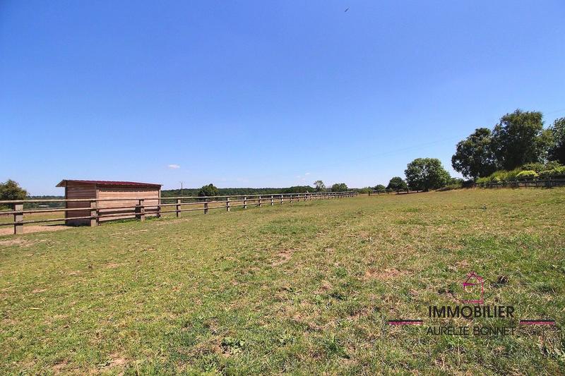 Terrain agricole - 45 116 m²