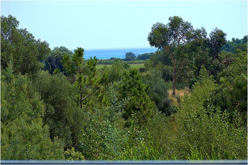 Maison d'architecte - 250 m² - 7 pièces