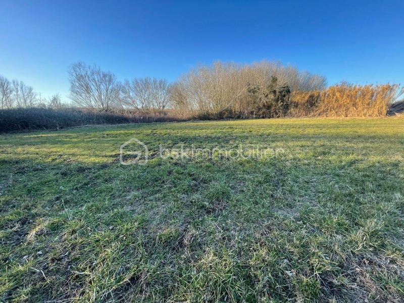 Terrain agricole - 1 546 m²