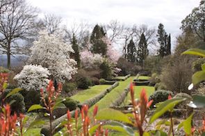 Pépinière Botanique j et F Thoby