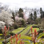 Pépinière Botanique j et F Thoby