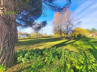 Terrain constructible - 1 197 m²