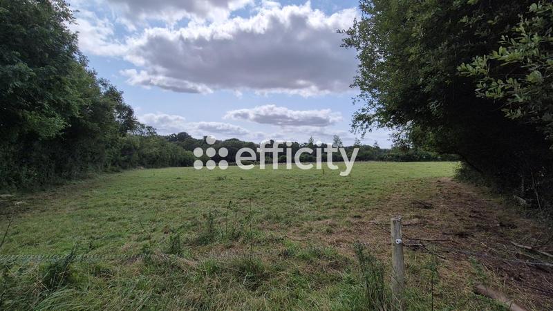 Maison - 180 m² - 6 pièces