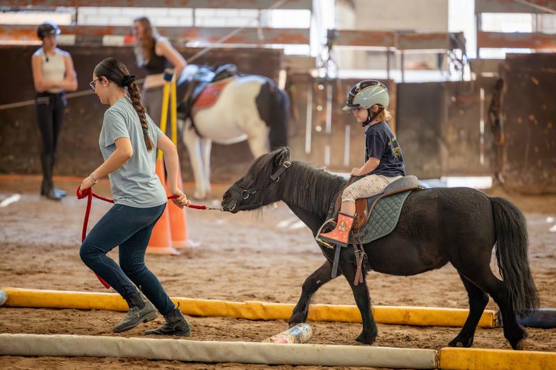Escape Game / Sauvez la Magie du Cirque