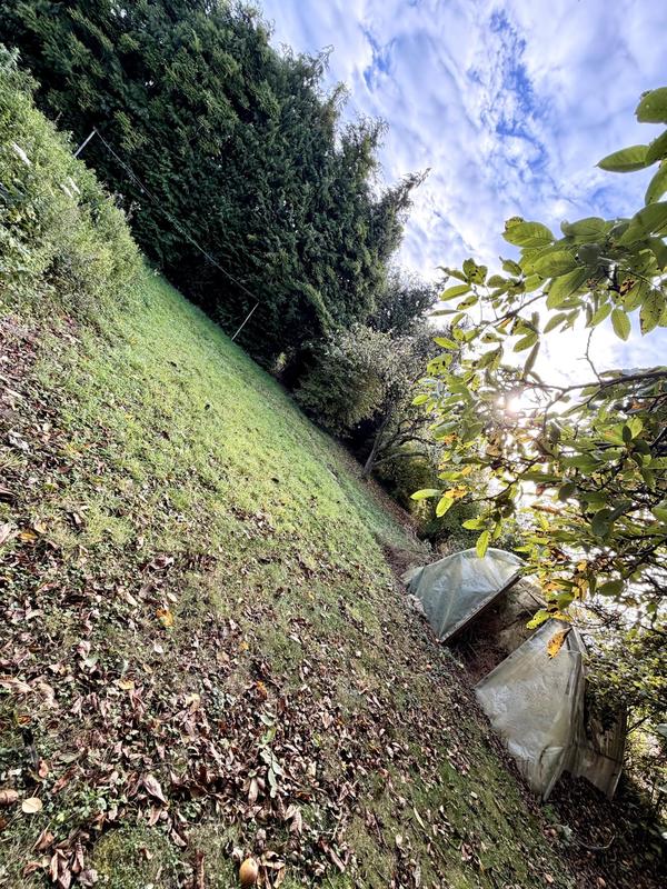 Maison - 226 m² - 7 pièces