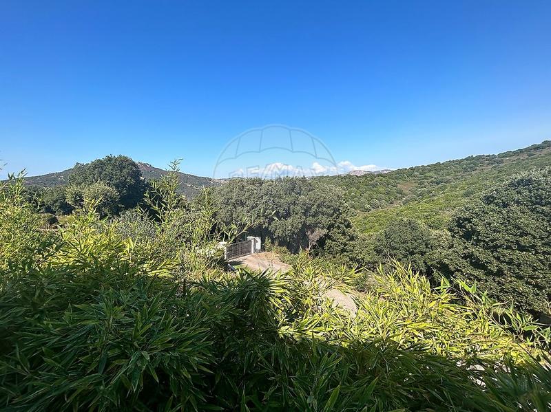 Villa - 150 m² - 4 pièces