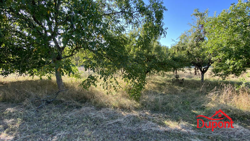 Terrain agricole - 10 000 m²