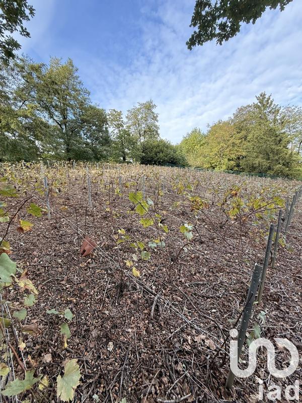 Terrain agricole - 749 m²