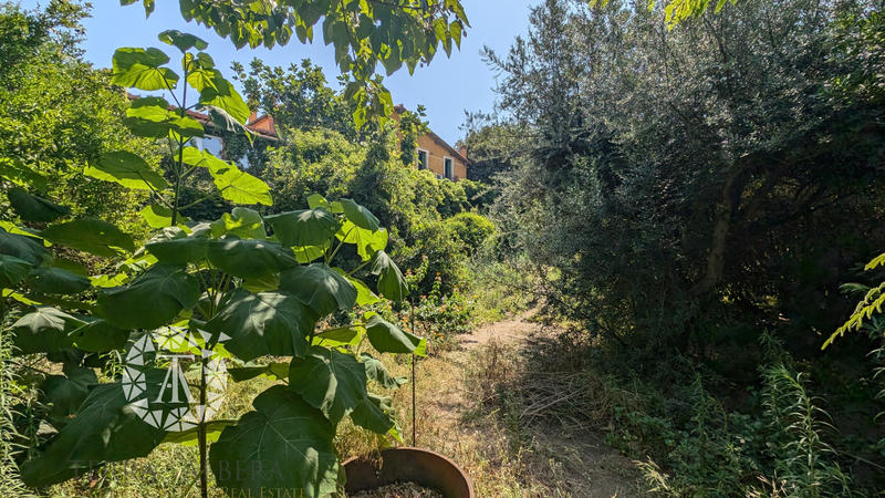 Villa - 310 m² - 14 pièces