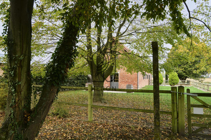 Ferme - 293 m² - 8 pièces