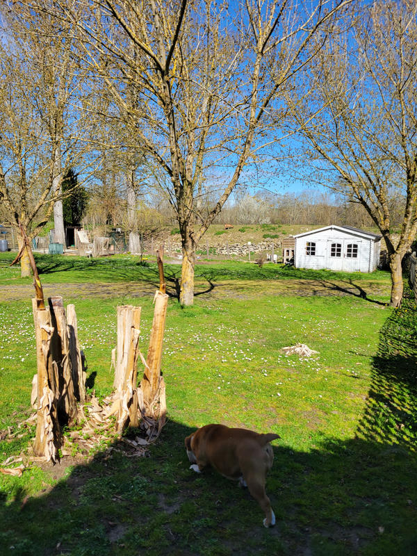 Maison - 127 m² - 7 pièces