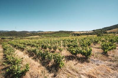 Terrain - 148 075 m²