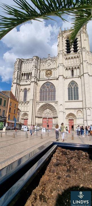 Fonds de commerce - Local commercial - 60 m²