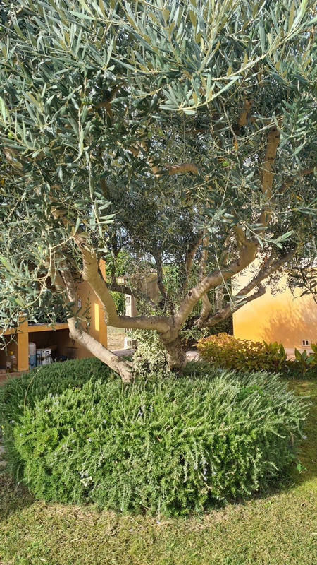 Villa - 154 m² - 4 pièces