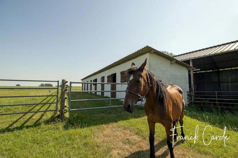 Maison de domaine équestre - 135 m² - 7 pièces