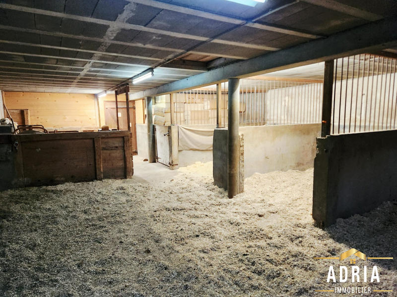 Ferme - 263 m² - 7 pièces