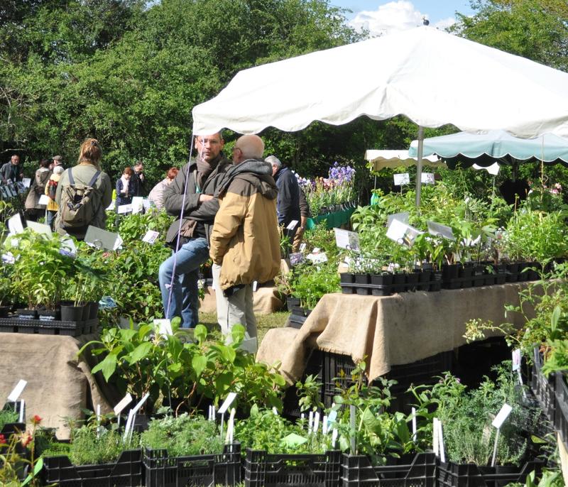 Journées des plantes de printemps