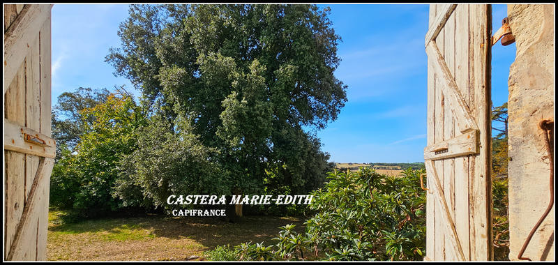 Château - 500 m² - 16 pièces