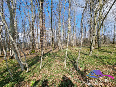 Maison - 140 m² - 4 pièces