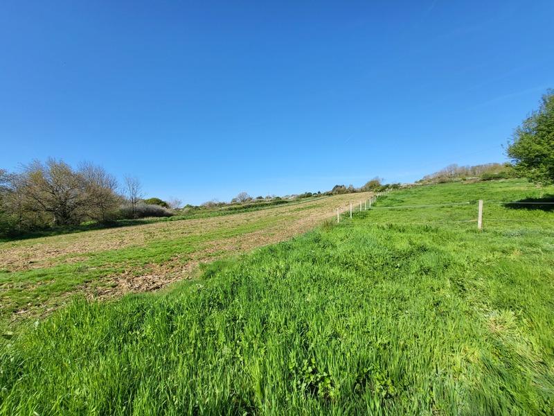 Hangar - 520 m² - 1 pièce