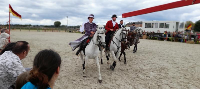Fête du cheval