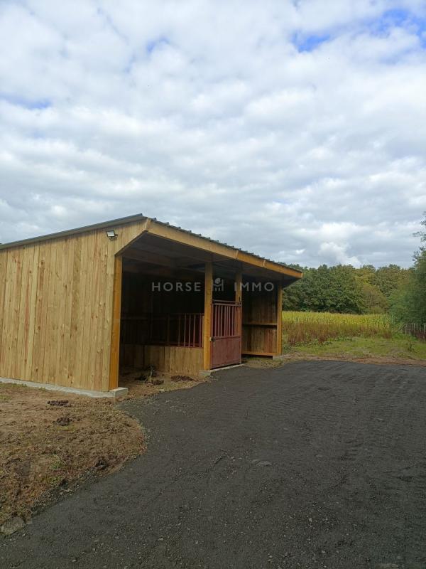 Gîte - 191 m² - 7 pièces