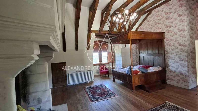 Château - 3 000 m² - 16 pièces