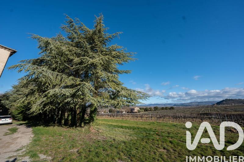 Appartement - 77 m² - 3 pièces