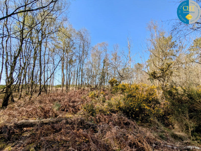 Terrain - 24 900 m²