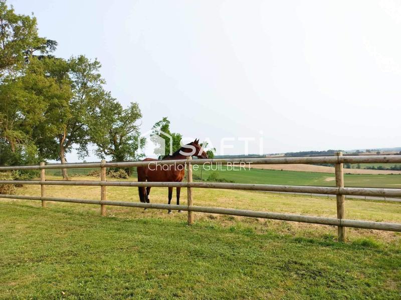 Maison - 265 m² - 6 pièces