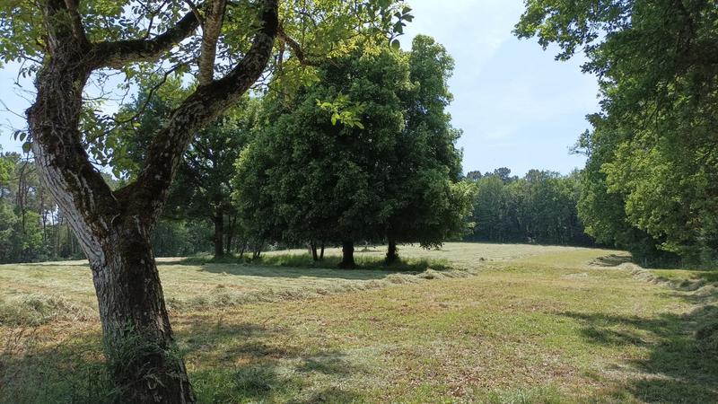 Château - 700 m² - 14 pièces