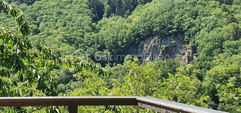 Propriété - 312 m² - 7 pièces