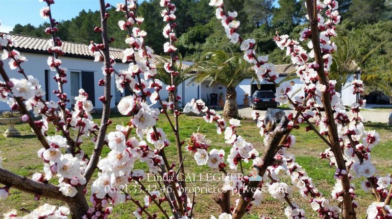 Villa - 222 m² - 5 pièces