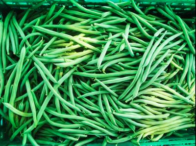 Les légumes bio du chemin des Clapiers