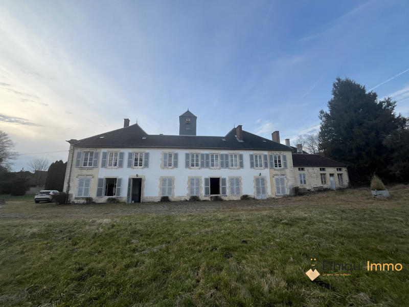 Château - 700 m² - 25 pièces