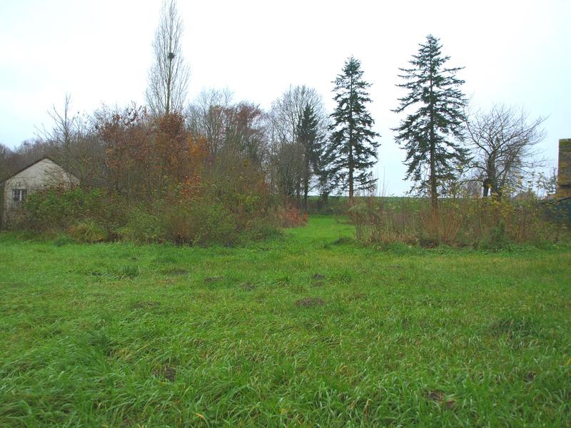 Terrain - 784 m²