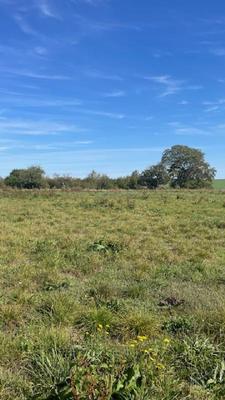 Terrain constructible - 1 667 m²